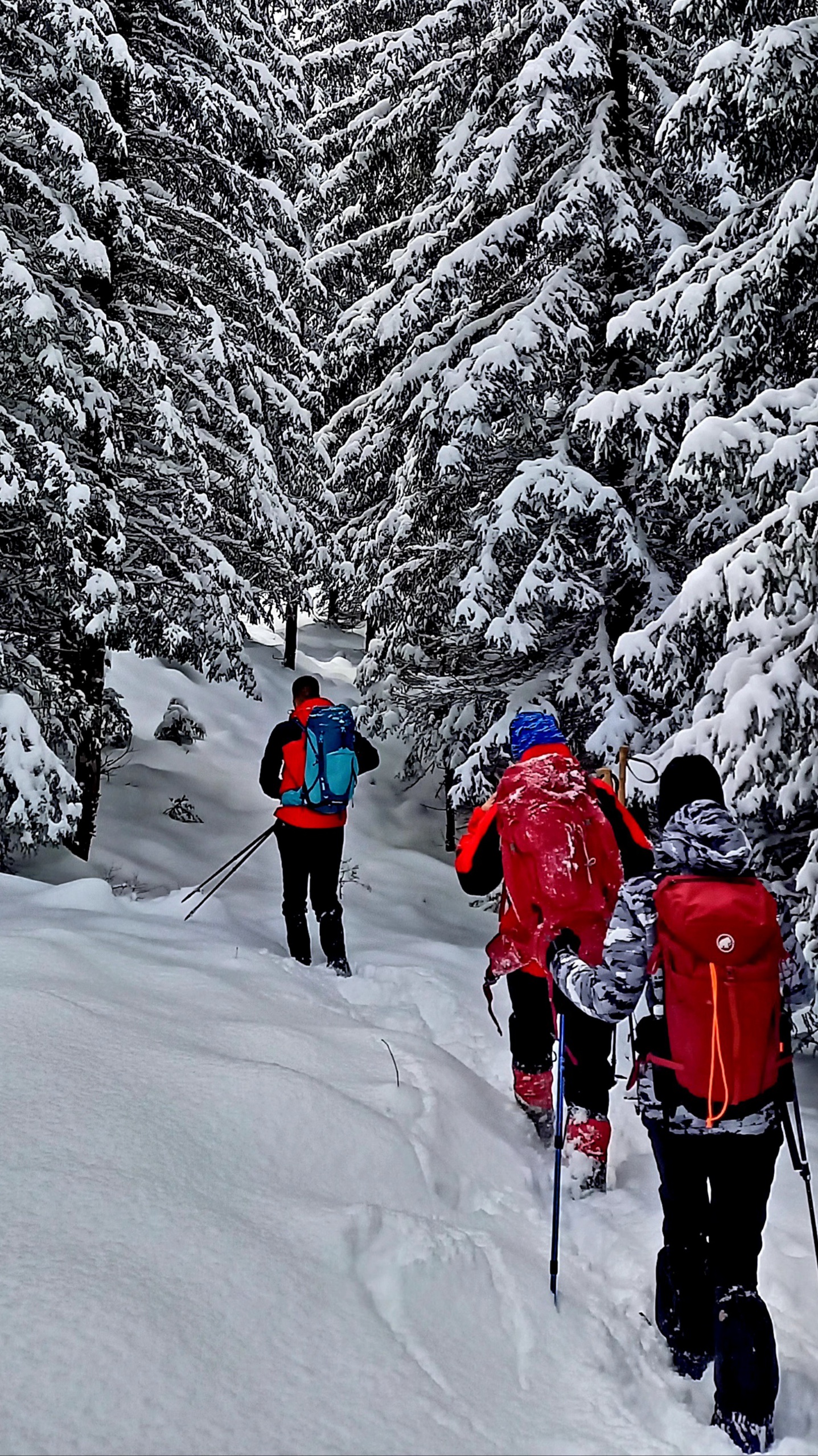 Planinarske staze u Prokletijama – Hiking trails in Prokletije mountains in Albania