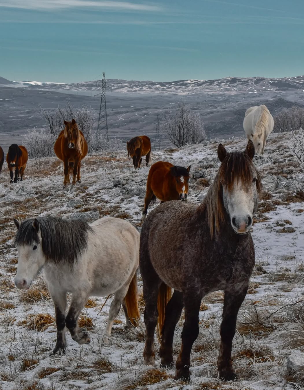 Planinarske staze na Zlatiboru – Hiking trails on Zlatibor mountain in Serbia